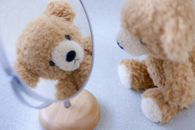クマが鏡を見ている